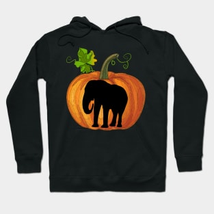 Elephant in pumpkin Hoodie